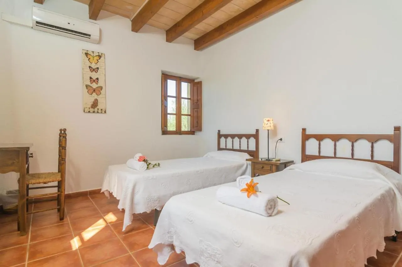 Villa Mercader Alcudia  Spain