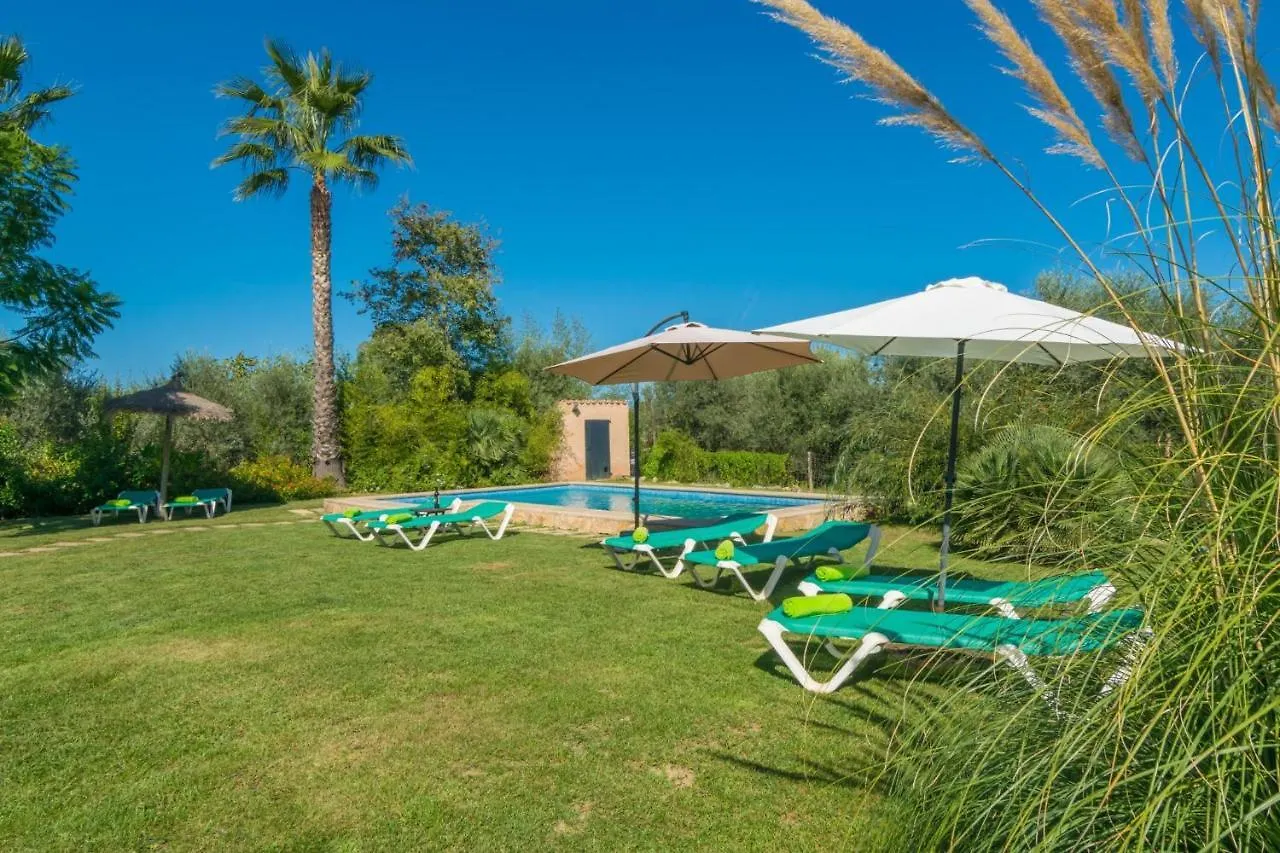 Mercader Alcudia  Villa