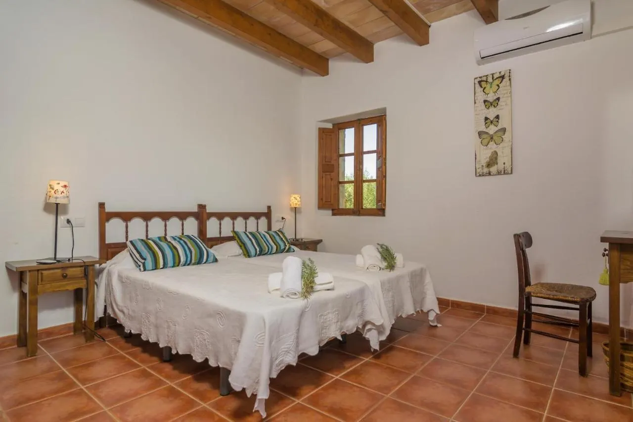 Villa Mercader Alcudia
