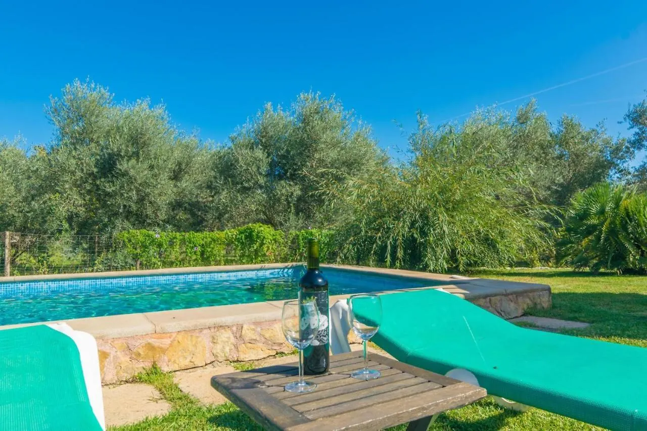 Villa Mercader Alcudia  Spain